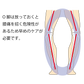 O脚は放っておくと膝痛を招く危険性があるため早めのケアが必要です