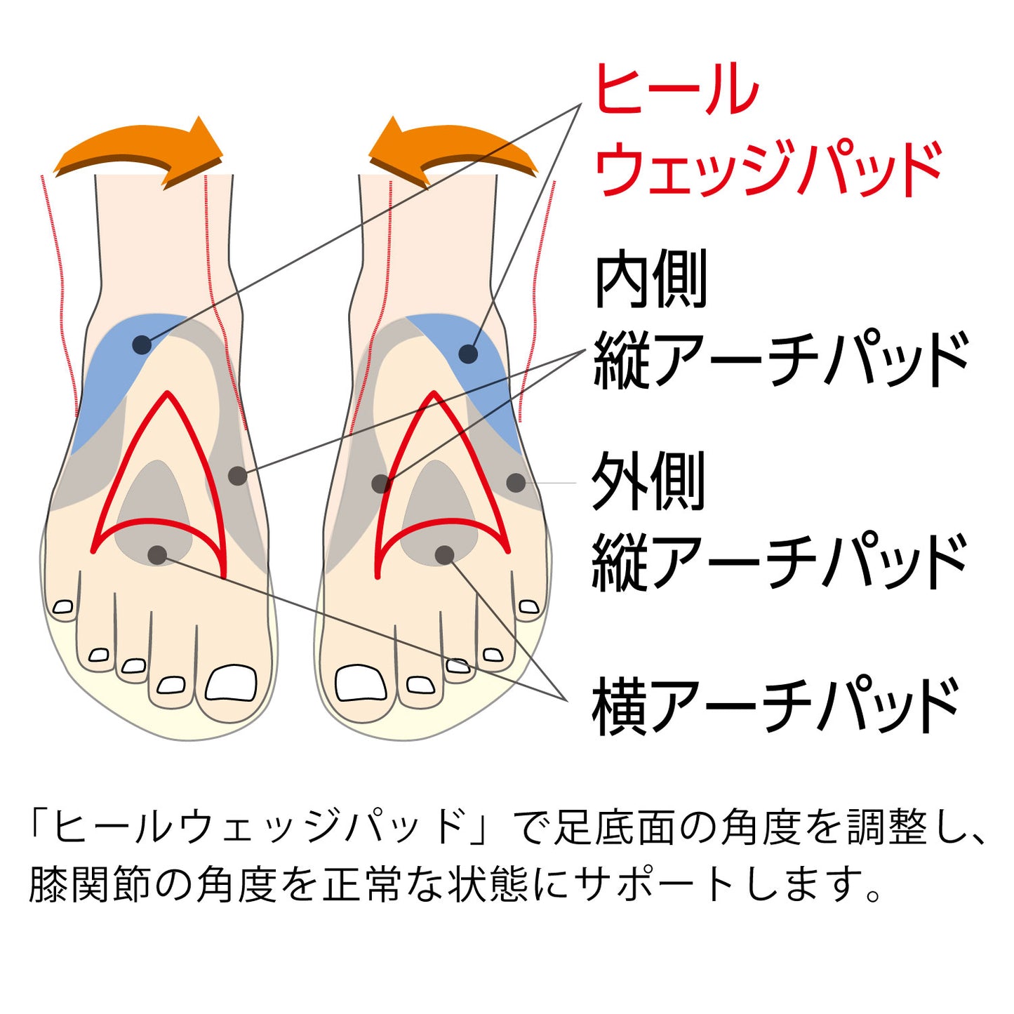 インソールプロ膝痛対策は「ヒールウェッジパッド」で脚の角度を調整し、膝関節の角度を正常な状態にサポートします