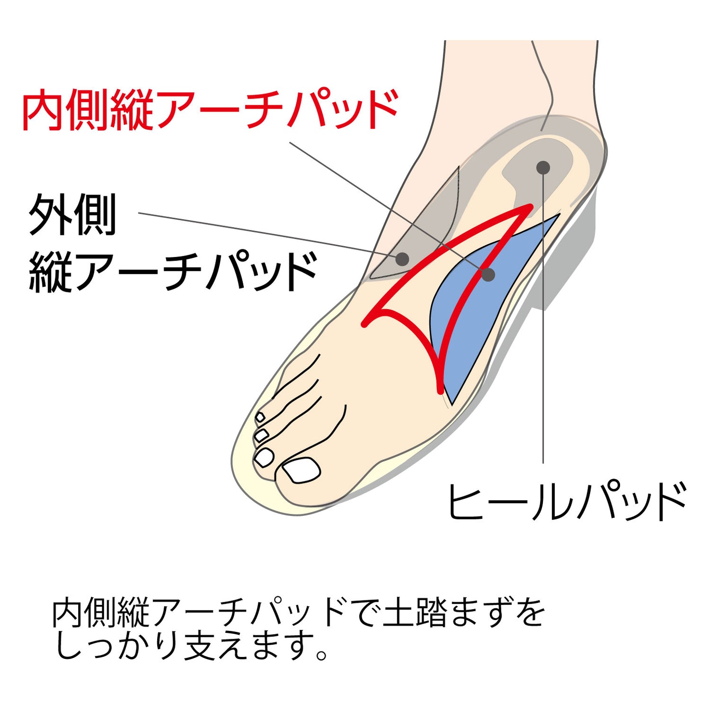 インソールプロ扁平足対策はパッドで土踏まずをしっかり支えます