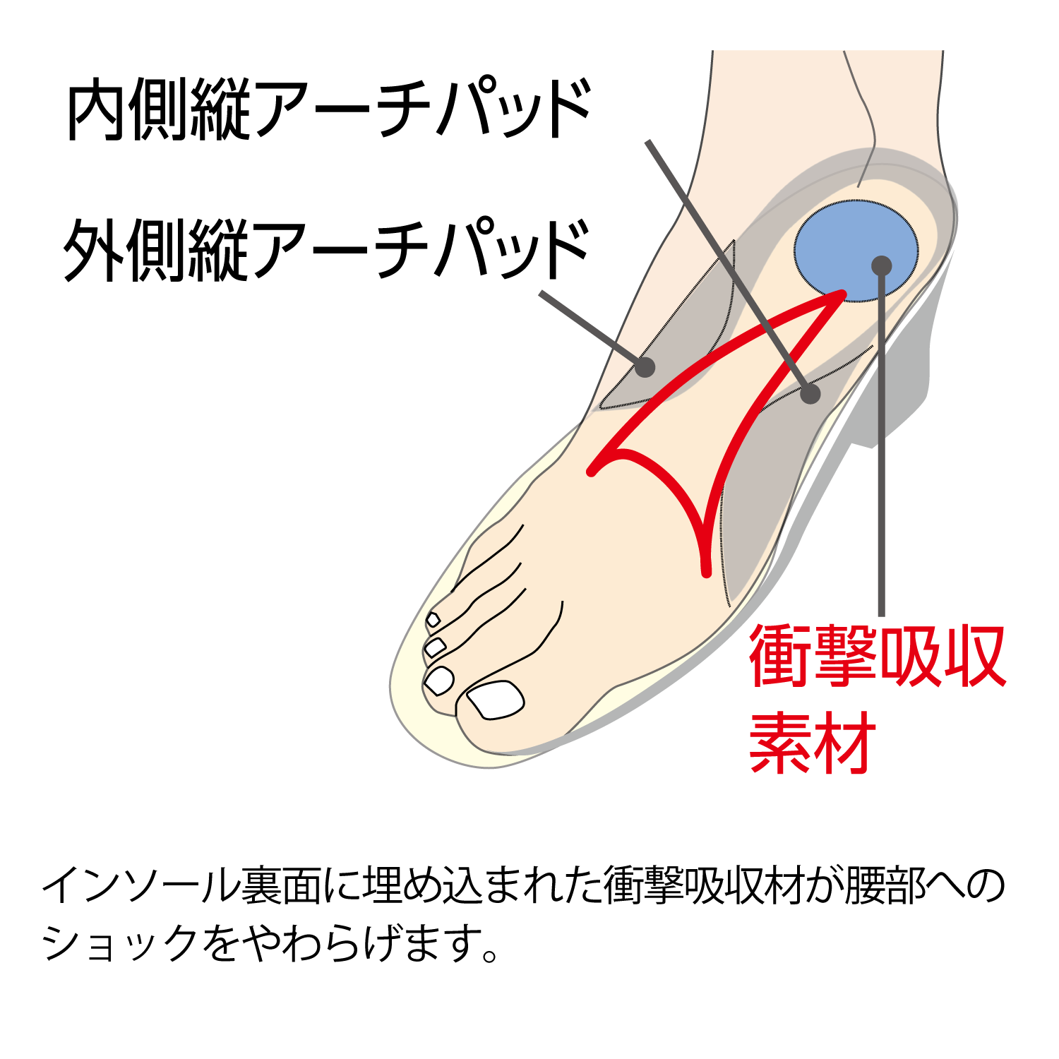 インソールプロ腰対策はインソール裏面に埋め込まれた衝撃吸収材が腰部へのショックをやわらげます